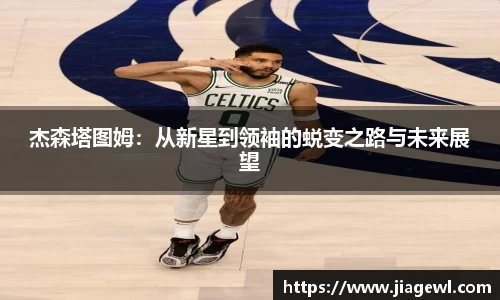 XK星空官方网站