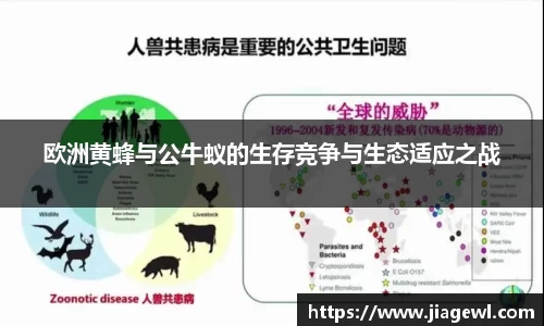 XK星空体育